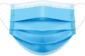 3 Ply Mask with Nose Pin